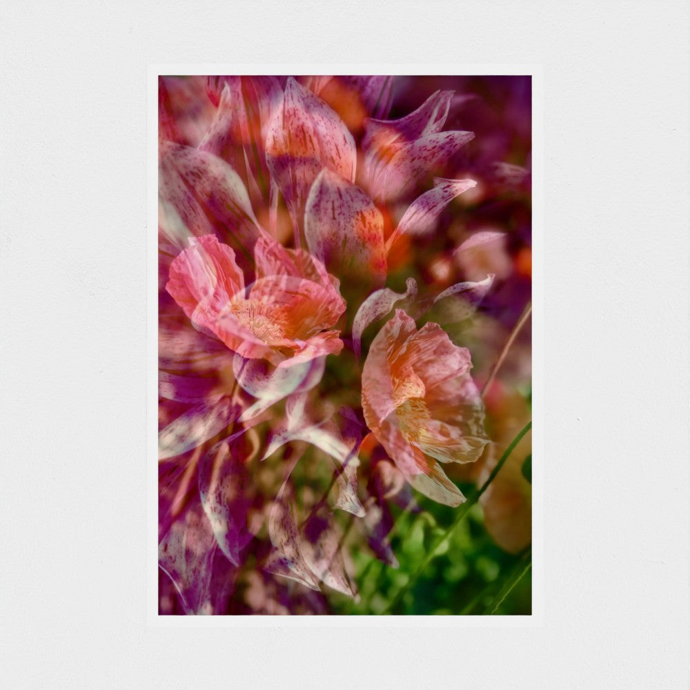 Photographic Art Print:  Dahlia and Poppies (free shipping)