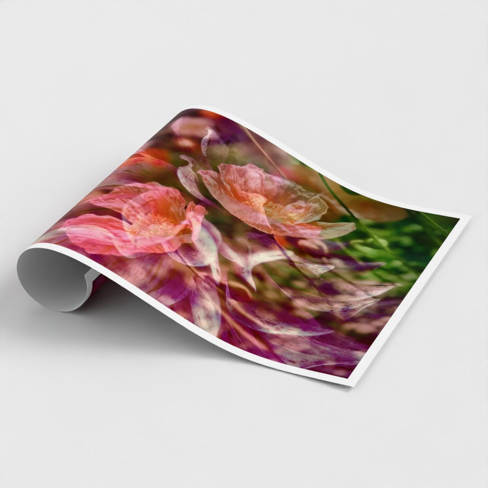 Photographic Art Print:  Dahlia and Poppies (free shipping)